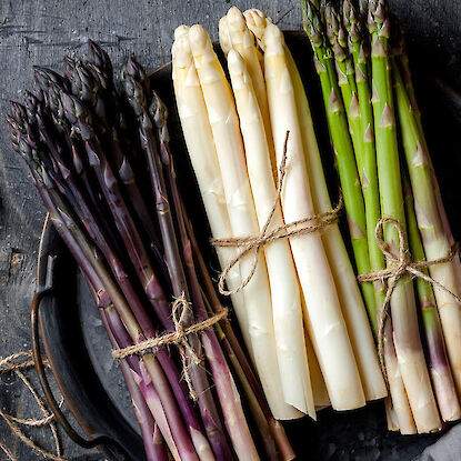 Bund wei&szlig;er, gr&uuml;ner und violetter Spargel auf dunklem Tablett, mit K&uuml;chengarn gebunden