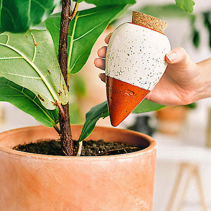 Bew&auml;sserungskegel aus Keramik wird in Blumentopf eingesetzt zur automatischen Pflanzenbew&auml;sserung