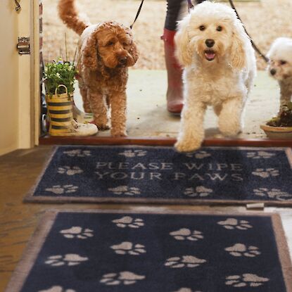 Drei Hunde betreten ein Haus mit dunkelblauer Fußmatte, darauf Pfotenmuster und der Schriftzug „Please wipe your paws“