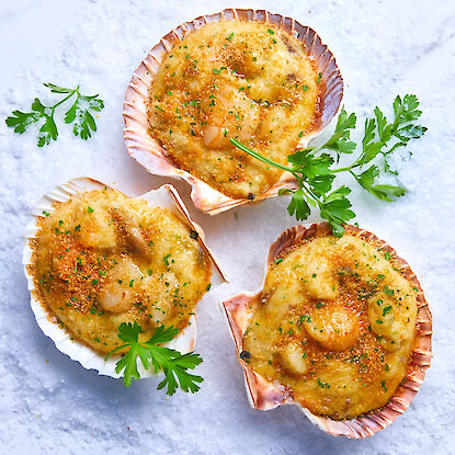 Coquilles Saint-Jacques gratinées sur glace avec persil, accompagnées du label qualité poissons et fruits de mer.