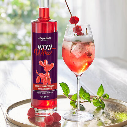 Rote Aperitifflasche mit Glas, Eis, Himbeeren und Minze auf Tablett bei Tageslicht.
