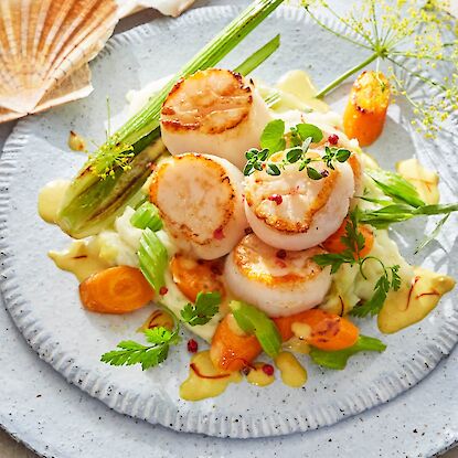 Gebratene Jakobsmuscheln auf Gemüse mit Kräutern und Sauce, dekoriert mit Muschelschalen.