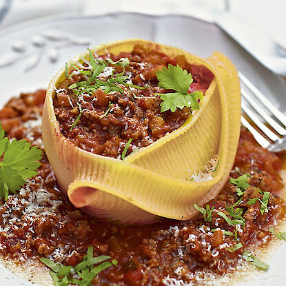 Caccavelle Bolognese au premier plan