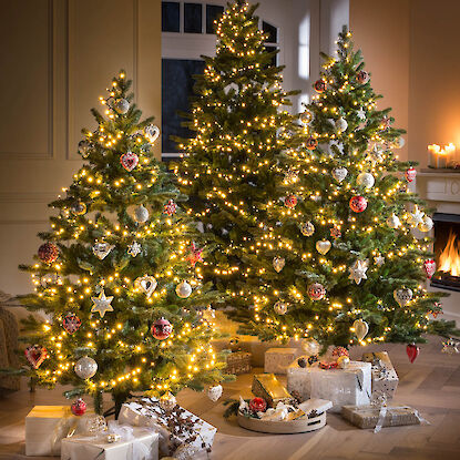 Beleuchtete Weihnachtsbäume mit Kugeln, Sternen und Geschenken im festlich geschmückten Wohnzimmer