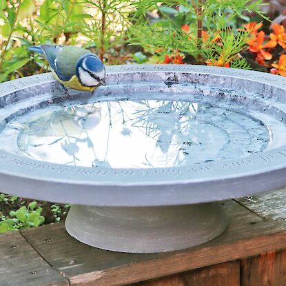 Garten-Vogeltränke aus Stein mit eingraviertem Spruch, genutzt von einer Meise zwischen Blumen