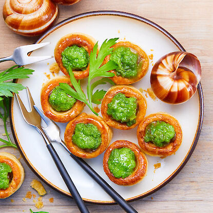 Französische Schneckenpasteten mit Kräuterbutter – feine Vorspeise auf Teller angerichtet mit Petersilie