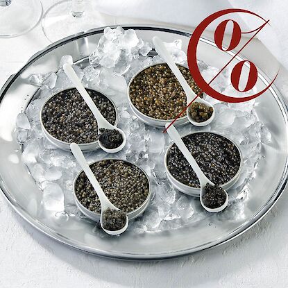 Auswahl edler Kaviarsorten in Dosen auf Eis serviert, mit weißen Porzellanlöffeln.