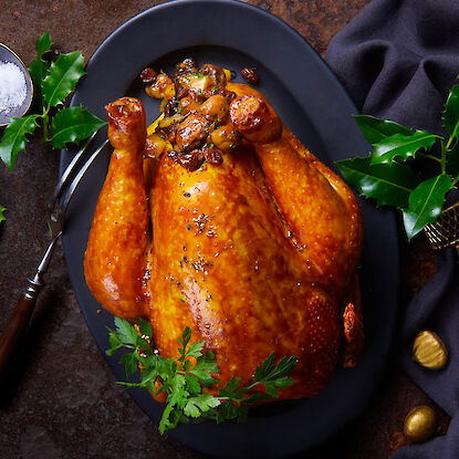 Gebratene Weihnachtsgans auf dunkler Platte, gefüllt und mit frischen Kräutern garniert.