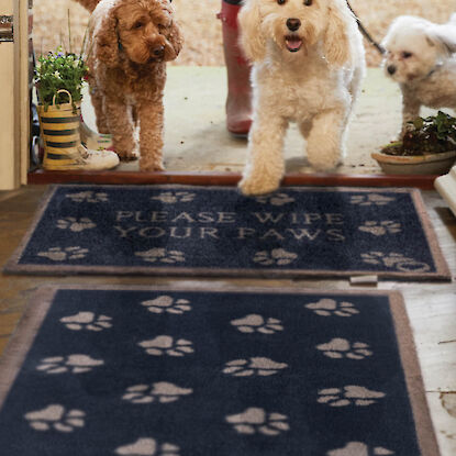 Drei Hunde treten ins Haus auf Fu&szlig;matten mit Pfotenmotiven und Aufdruck &bdquo;Please wipe your paws&ldquo;.