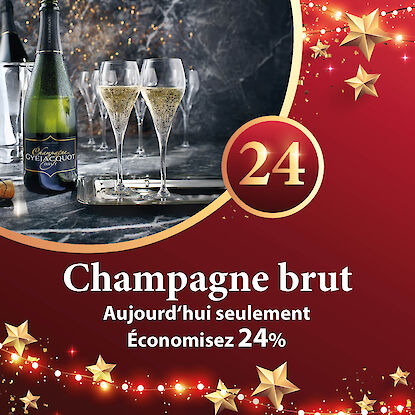 Banni&egrave;re avec bouteille de champagne et deux verres, d&eacute;coration festive, accompagn&eacute;e de l&rsquo;offre &agrave; &ndash;24 %.