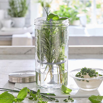 Conservateur d&rsquo;herbes en verre avec eau, rempli d&rsquo;herbes fra&icirc;ches, &agrave; c&ocirc;t&eacute; d&rsquo;un bol de fromage frais aux herbes.